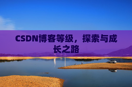 CSDN博客等级,探索与成长之路